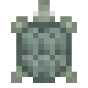 Arrau Turtle