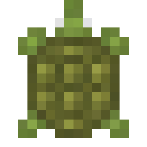 Box Turtle