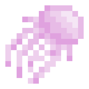 Jellyfish
