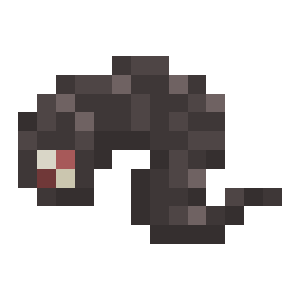 Leech