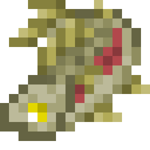 Rainbow Trout