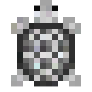 Starshell Turtle