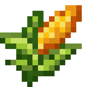 Corn