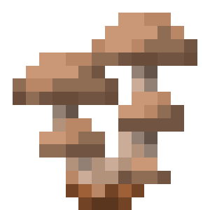 Brown Mushroom Colony