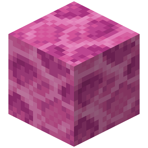 Brain Coral Block