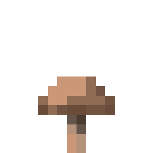 Brown Mushroom