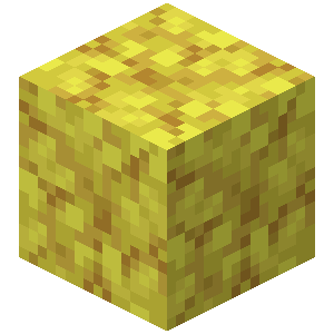 Horn Coral Block