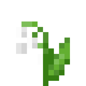 Lily Of The Valley