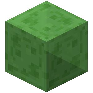 Slime Block