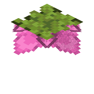 Spore Blossom
