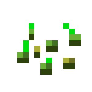 Wheat Seeds