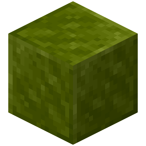 Inferium Block